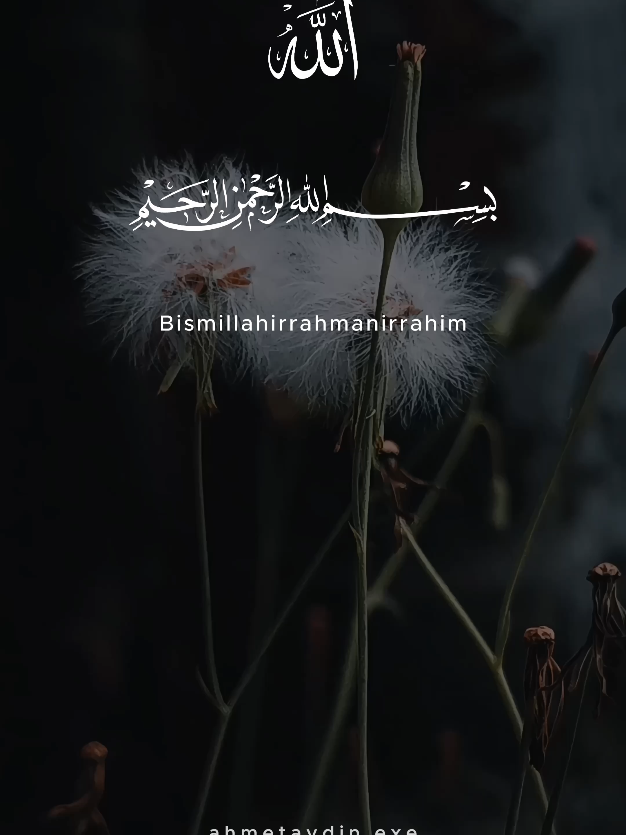 Allah Sessizliği de Duayar. #kuran #dua #ayet #huzur #islam #maneviuyanış #motivasyon #kıyamet #tevekkül