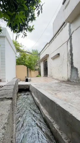 #صلوا_على_رسول_الله  #سلطنة_عمان🇴🇲  #فلج 