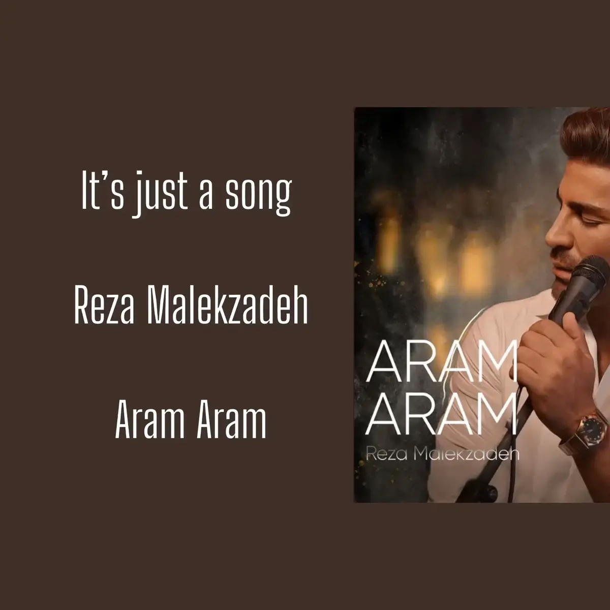 #song #iran🇮🇷 #reza_malekzade #aram_aram #fyp #explore 