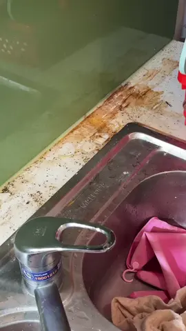 Chai tẩy đa năng của Saniitec #review #trainghiem #saniitec  @Wang Gia Dụng 