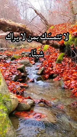 أُلَسًلَأُمِ عُلَيْڳّمِ𖠛#اقتباسات_عبارات_خواطر #لايك_متابعه_اكسبلور #النجف_كربلاء_الناصرية_بغداد 