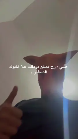 مو تدللون 😂