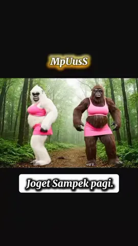 Monyet joget garam China #jogetviral #jogettiktok #viraltiktok #tiktokviral 