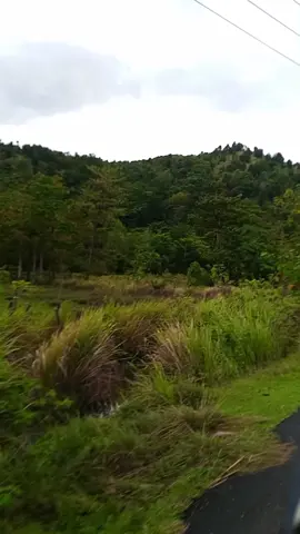 yuk jalan-jalan #viral #fyp 