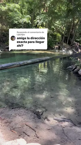 Respuesta a @L@ul@u  #bigsur #river #rio #naturaleza #nature #pfiefferbigsurstatepark #comollegar 