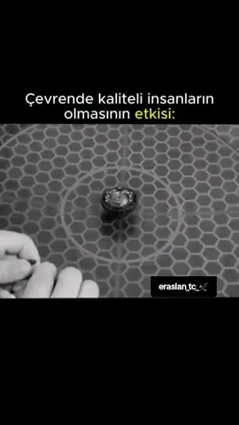 Çevrende kaliteli insanların olmasının etkisi: