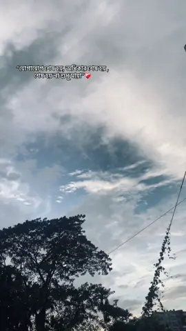 Tobe kno? #fpyyyyyyyyyyyyyyyyyyyyyy #fpyyyyyyyyyyyyyyyyyyyyyy #fpyyyyyyyyyyyyyyyyyyyyyy #fpyyyyyyyyyyyyyyyyyyyyyy #viral #fpyシ #caption #trees #beautifulsky #trending #sky #trend 