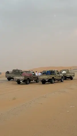 #المناهيل_الحمايا #اكسبلورexplore #لايكexplore #الربع_الخالي_الرمله 