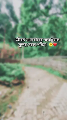 জীবন শুক্রবারের মতো হোক সুন্দর,সরল,পবিত্র। 🌼❤️#foryou #vairal #fypシ゚ 