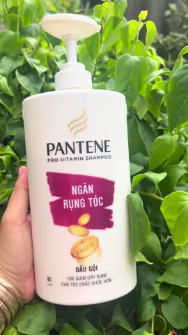 Dau gôi đầu Pantene ngăn rụng  tóc chai lớn 900ml tiết kiệm hơn#thinhhanh#xuhuongtiktok#vairal#