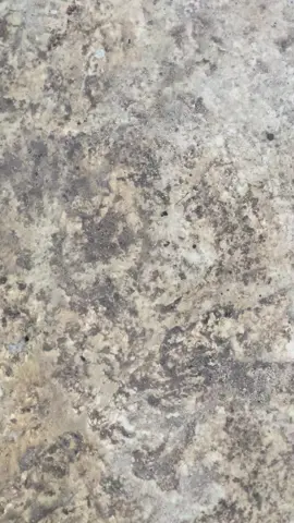 1 klip aja #fypage #beatdeluxe #stlyekt #xybca 