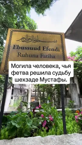 Могила человека, чья фетва решила судьбу шехзаде Мустафы. Шейх-уль-ислам Эбу’с-Сууд Эфенди — перо его подписало смерть, которую предсказала тишина дворца. История помнит. Земля — хранит.   Могила Мехмета Эбу’с-Сууда Эфенди — шейх-уль-ислама Османской империи при султане Сулеймане Великолепном. Именно он подписал фетву, которая дала религиозное обоснование казни шахзаде Мустафы — старшего сына султана. Казнь Мустафы в 1553 году навсегда осталась одной из самых трагических страниц в истории Османской династии. На этом месте покоится человек, чья подпись изменила судьбу империи.  #стамбул #великолепныйвекхюрремсултан #великолепныйвек #шахзадемустафа #султансулейман #хюремсултан #muhteşemyüzyıl #sultansüleyman #hürremsultan #şehzademustafa 
