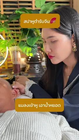 ลาบัวRCA,ลาบัวอารีย์ สปาหูตำรับจีน นวดศีรษะ ชิโรดารา และสระผมผ่อนคลาย วันนี้พามาดูเอาน้ำหยอดหู เนื่องจากแมลงเข้าหู คุณพี่บอก แมลงออกไหม ไม่รุ้ แต่ที่รู้คือน้ำไม่ออกมันอื้อๆอยู่ข้างใน กวางมีวิธีจัดการอย่างไรไปดูกันค่ะ☺️ #ลาบัวRCA #ลาบัวอารีย์ #สปาหู #สปาหูพระราม9 #สปาหูฟินๆ #แคะขี้หูกรุงเทพ #ลาบัวสปาหูRCA #ลาบัวสปาหูอารีย์ #กวางช่างแคะหู #แคะหูลาบัว #กวางช่างแคะหู #แคะหูเพลิน #สปาหูลาบัว #ลาบัวRCAสปาหู #แคะหูลาบัวRCA #เทรนด์วันนี้ 