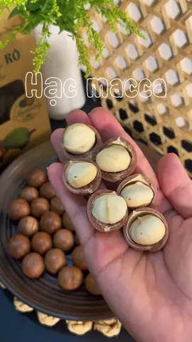 Hạt Macca sấy giòn ,thơm bùi beo beo ngon cực kì lun nhe mọi người#xuhuong #LearnOnTikTok #ancungtiktok #hatmacca #hatmaccadaklak #hatmaccasay #@bepnhangan94