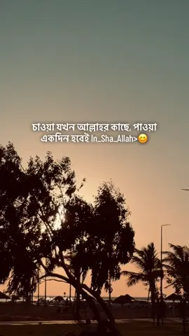 Inshallah 😊 #siyam____bro #capcut #foryou #bdtiktokofficial🇧🇩 @TikTok 