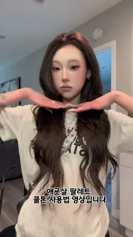 애굣살 팔레트 쿨톤 사용법 영상입니다 #추천 #fyp #makeuptutorial 