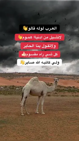#العرب_لوله_قالو☝ #لاتشيل_من_دنيا_هموم #دق_ثقيل👌🏼🔥🇱🇾 #اقتباسات #عبارات #ليبيا🇱🇾 #fyp #foryou #foryoupage 