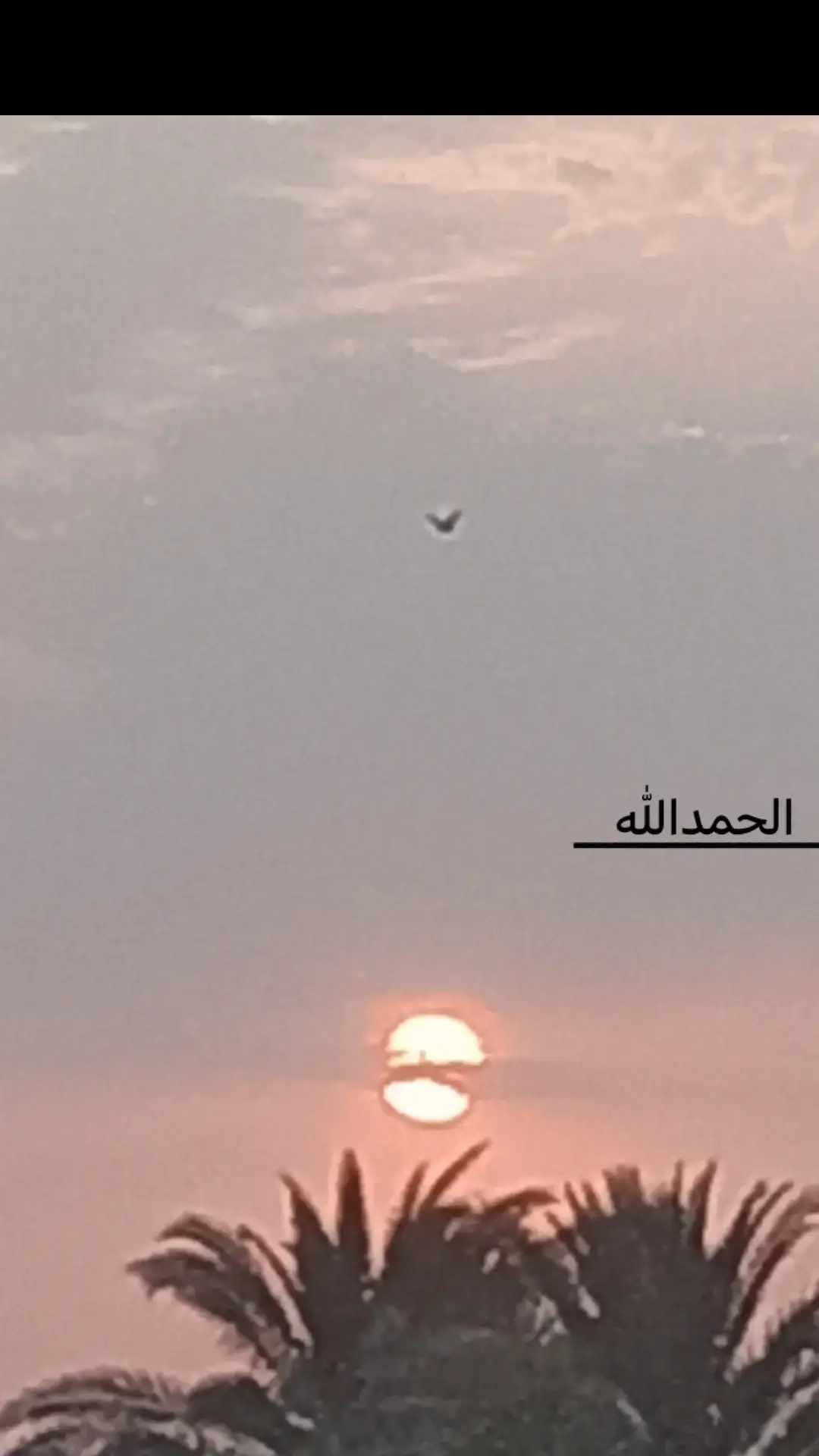#راحه_نفسيه 