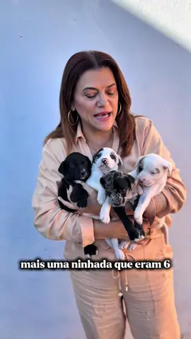 QUATRO VIDINHAS ESPERANDO POR UM LAR! 🐾 Esses 4 filhotes lindos — 2 machos e 2 fêmeas, com apenas 30 dias de vida — já se alimentam sozinhos e serão de porte médio. Atenção: adoção é um ato de amor e responsabilidade. Não são brinquedos. Eles crescem, precisam de cuidados, atenção e muito amor por toda a vida. Se você está pronto para dar esse passo com consciência e compromisso, entre em contato! 📍Adoção responsável salva vidas. 💛 Adote, transforme um destino. #AdoteComAmor #AdoçãoResponsável #FilhotesParaAdoção #AmorQueSeAdota #ProteçãoAnimal  🐶💛