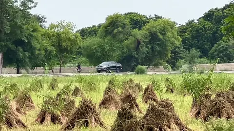 G O P  — Police in Action #viral #police #action #video #plzdontunderviewsmyvideos 