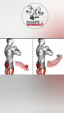 How to Increase Your Stamina & Stronger Groin Muscles#shape_workout #👌💯👌💪✅️💪👌💯 #short #GEM #fypppppppppppppppppppppp #pyf #shapeworkout 