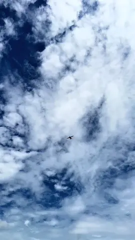 Boys Last Option ✈️🥲 . . . . . . . . . . #vairal_video #fyp #foryoupage #tiktokofficile #sky #planevideos #bestvideo 