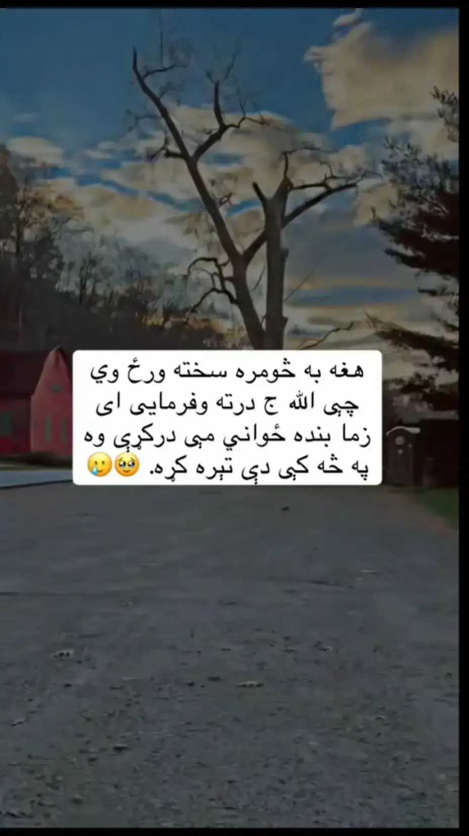 #_ځـوانه_ملتیا_مې_وکړه_انشاألله_پښیمانه_به_نشي📚 