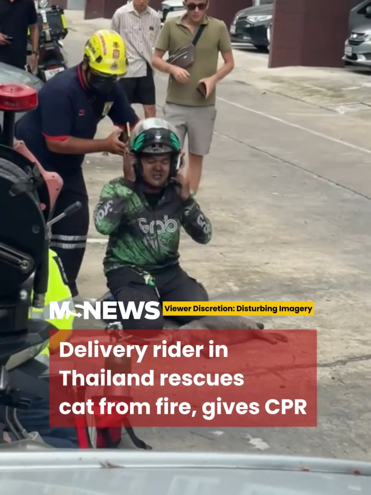 The cat’s owner was not around during the incident, as they had travelled to another province.