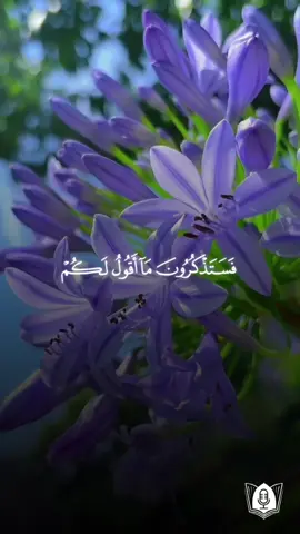 ﴿فَسَتَذكُرونَ ما أَقولُ لَكُم وَأُفَوِّضُ أَمري إِلَى اللَّهِ إِنَّ اللَّهَ بَصيرٌ بِالعِبادِ﴾ [#سورة_غافر: 44] 🎙| #تلاوة بصوت: #عبدالباسط_عبدالصمد #قرآن #قرآن_كريم #آيات #استغفرالله #oops_alhamdulelah 📖| المختصر في التفسير: فرفضوا نصحه، فقال: ستذكرون ما قدمت لكم من نصح، وتتحسّرون على عدم قبوله، وأفوّض أموري كلها إلى الله وحده، إن الله لا يخفى عليه من أعمال عباده شيء. 