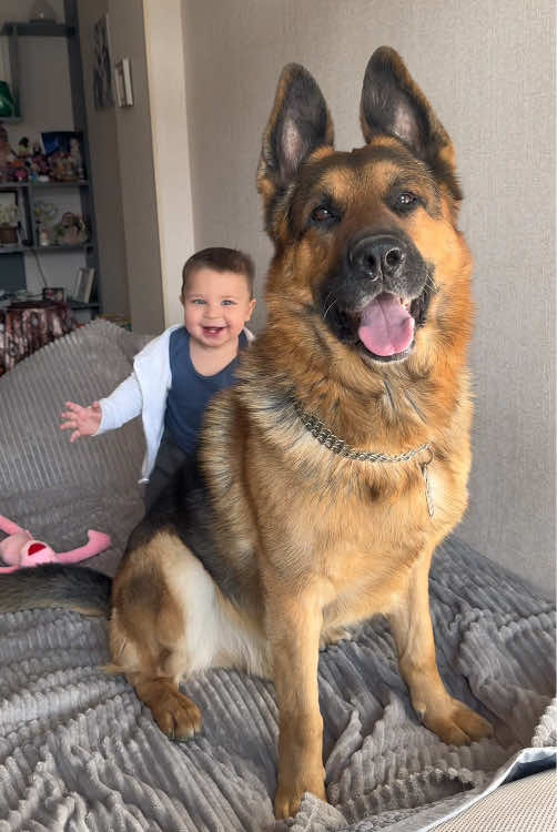 Best friends ❤️#dog #baby #pet #Love #cute #bestfriend #lovestory #dogsoftiktok #foryou #usa🇺🇸 