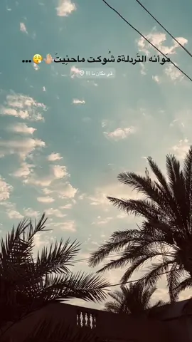 متابعه للحساب🌷✨