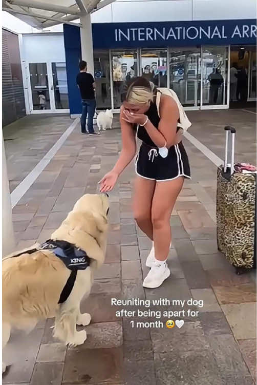 Reunited with my dog，Best day of my life!🥺💕  #reunited #dogsofttiktok #emotional #fyp #viral videotiktok😇😇 #family #reunitedwithdog