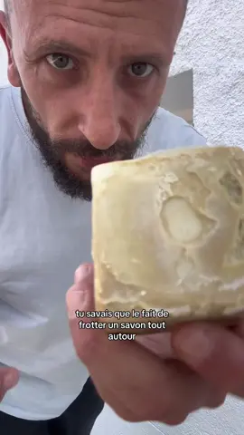 Le truc tout simple qui bloque les insectes ! #insecte #DIY #astuce 