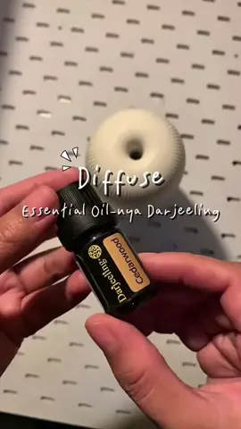 Diffuse Essential Oil super wangi 🫶🏻 #diffuser #essentialoil #checkoutsekarang 