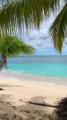 Nuansa biru yang tiada habis, laut yang mungkin sudah jadi rumah. Dan perasaan yang benar-benar Bebas di sini. 🌴🌊✨ 📌 Lito Huha, Gorontalo Utara. - #gorontalo #gorontaloutara #paradise #island #sea #traveltiktok #fyp #viral #indonesia #earth #litohuha #ayokegorontalo #fyp5266m #tiktok #lito #traveling 