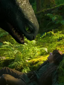 How to Train Your Dragon is very good. Have you seen it?#howtotrainyourdragon #movie #tiktok #foryou #fyp 