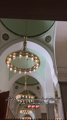 الحمدلله ❤️‍🩹#المدينة_المنوره #مسجد_قباء #الحرم_المدني 