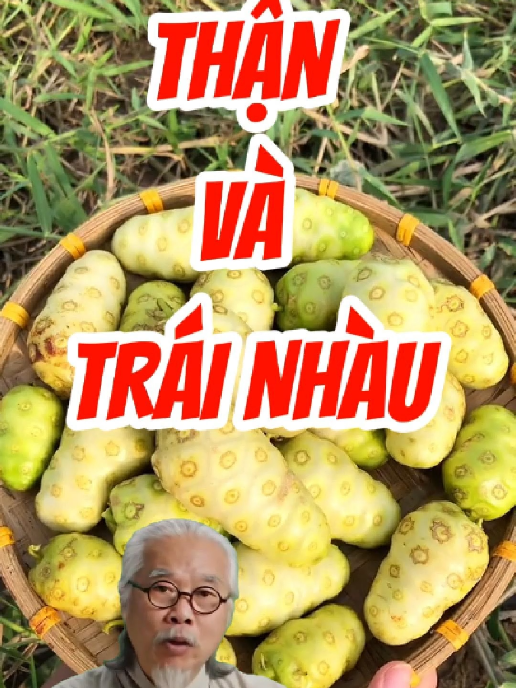 thận và trái nhàu  #suckhoe #thaomoc #thaoduoc #dongy #thuocnam #duoclieutuetam #thaoduoctuetam 