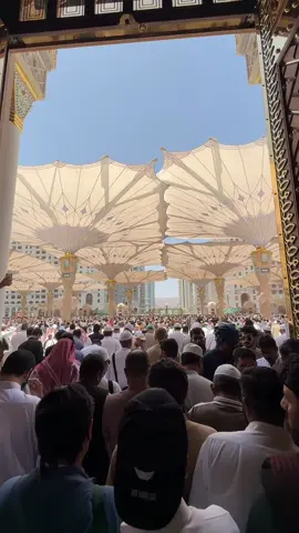 صلاة الجمعة ماشاء الله في المسجد النبوي ❤️#صلى_على_رسول_الله_صل_الله_عليه_وسلم #المدينة_المنورة_الآن #المدينة_المنوره #مسجد_رسول_الله 