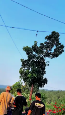 tempat nyoremu jie#fypage #nyore #pekalongan24jam #foryoupageofficiall #herexpekalongan 