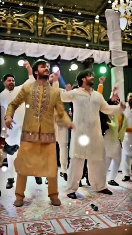 Lions🦁❤️ REPOST REQUEST @𝐅 𝐀 𝐍 𝐊 𝐀 𝐑 - 𝟐 • 𝟎 @MIA BHAI 2.0🦅🙌🏻 #fypシ゚ #foryoupage #tiktokteamplzzzunfreezmyacoount🥺🥺 #plzdontunderviewsmyvedios #freeplastain🇵🇸❤️ #viralvideo 
