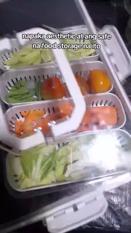 safe na food mo Dito talaga  #foodstorage #foodkeeper #freshfoodstorage #storagebox #tiktokshop #tiktoktrending #fyp #fypviralシ #fypspooted #fypシ゚ 