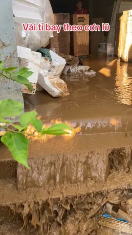 Cả kho hàng của ĐIỆN MÁY XANH 😭😭😭 Còn lại gì sau cơn lũ… #lũlụt #thiệthạinặngnề 