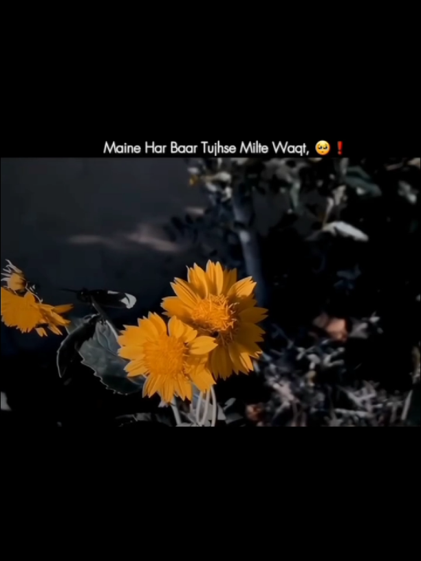 ᴊ𝐡ᴏ𝐧 E𝐋ɪ𝐚_🧡🥀 #grow #accountant #foryoupagе #viral_videos #poetry #shayari #urdupoetry 