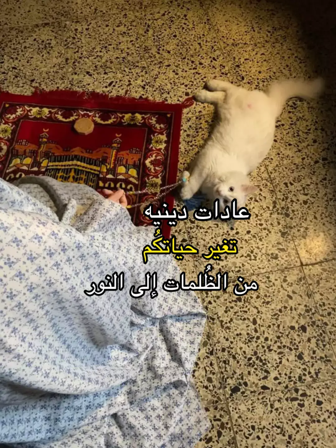 #فيـض، #الامام_المهدي_المنتظر_عج #الامام_الحسين_عليه_السلام #الامام_العباس_عليه_السلام🍂 #اللهم_عجل_لوليك_الفرج #شيعيه_مواليه_لامام_علي_؏ #الامام_المهدي_أمل_الأمه_العدل_الألهي #شعيه_حسينيه_مواليه_لعلي #اللهم_صلي_على_نبينا_محمد 