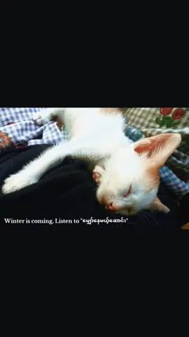 My Favorite winter is coming,i miss someone #shun #fyp #moots #winteriscomming 