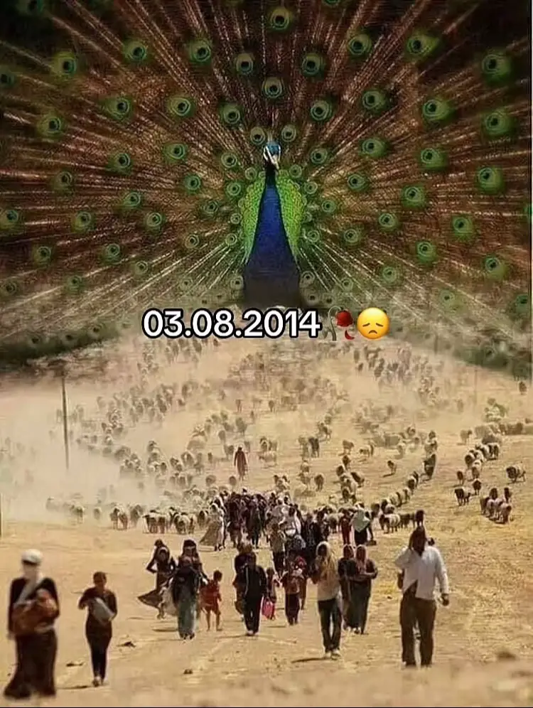 #03.08.2014😔🥀#ezidi 