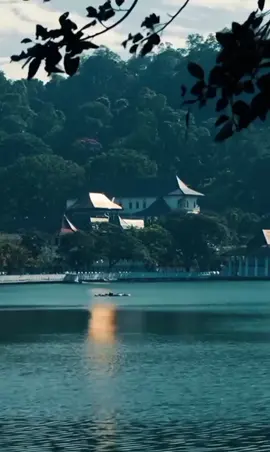 #kandy #srilanka #viral #fyp #fyyyyyyyyyyyyyyyy 