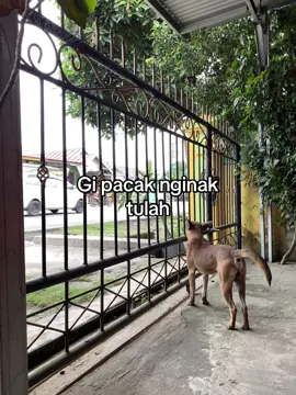 #katakata #pagaralam #lahat #jemekitegale #foryou 