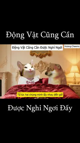 Động Vật Cũng Cần Được Nghỉ Ngơi Đấy 🤣 #hoangcheems #cheems #haihuoc #funnyvideo #viral #cute #foryour 
